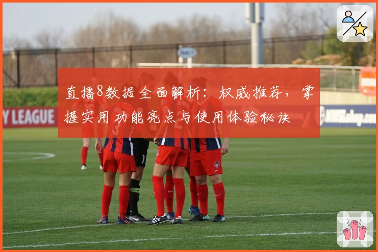 直播8数据全面解析：权威推荐，掌握实用功能亮点与使用体验秘诀
